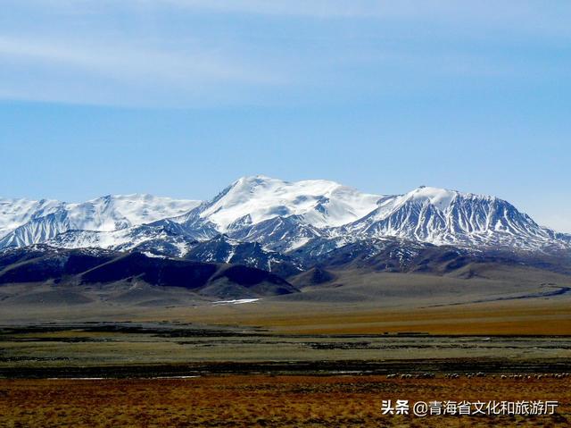 -风云突变浙江稠州赛后官宣签约，荷甲版图或变，引发热议，医务组通报恢复(浙江稠州遭遇新赛季开局三连败)